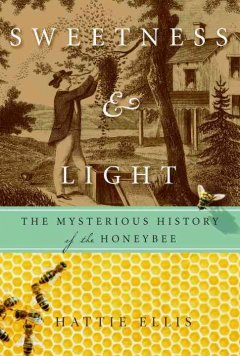 Sweetness & light : the mysterious history of the honeybee cover