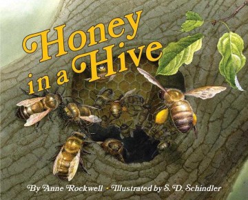 Honey in a hive cover