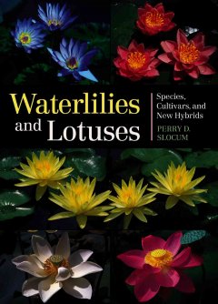 Waterlilies and lotuses : species, cultivars, and new hybrids  