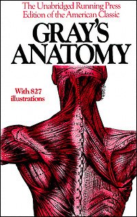 Anatomy, descriptive and surgical  