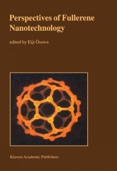 Perspectives of fullerene nanotechnology  