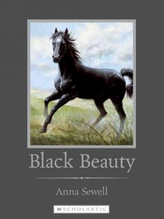 Black Beauty   