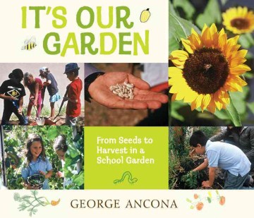 It's our garden : from seeds to harvest in a school garden