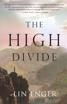 The high divide : a novel  