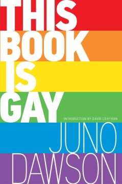 Cover image for This Book is Gay