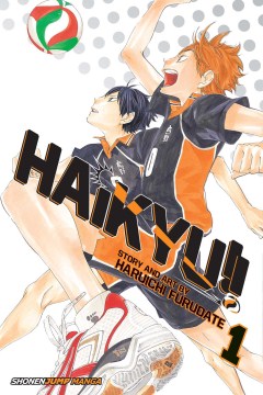 Haikyu!!  1, Hinata and Kageyama cover