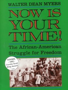 now is your time! :the african-american struggle for freedom