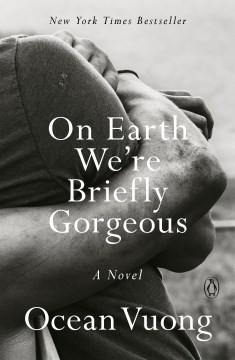 On earth we're briefly gorgeous : a novel cover