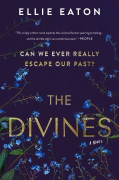 The divines a novel - Cover Image