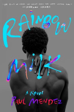 Rainbow Milk: A Novel book cover