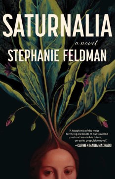 Saturnalia : a novel  cover