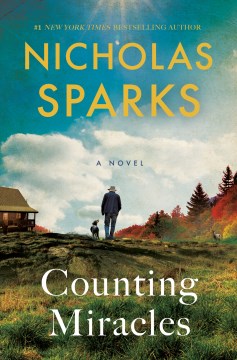 Counting miracles : a novel cover