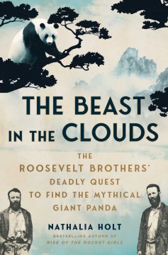 cover for The Beast in the Clouds