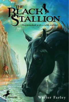 The black stallion