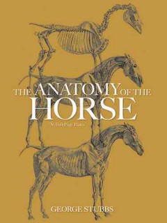 The anatomy of the horse   