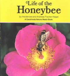 life of the honeybee cover