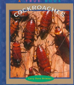 Cockroaches   