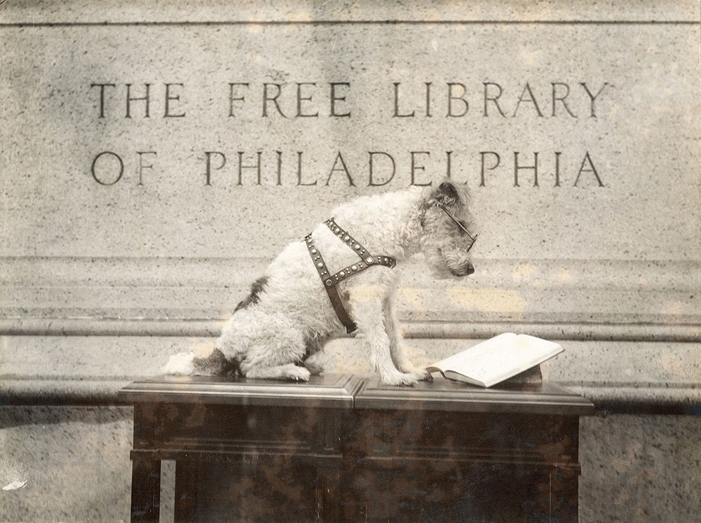 Knee-Hi, the Free Library of Philadelphia mascot