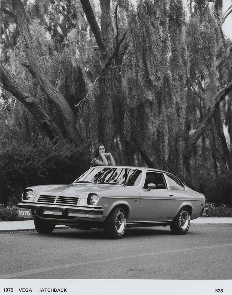 Chevrolet - 1975 - Vega Hatchback