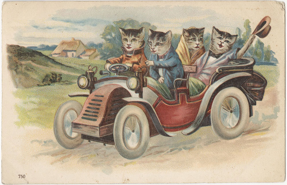 Four Cats in a Car (front)