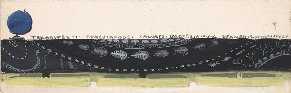 Sketch of black decorative band featuring trilobites, for Life Story