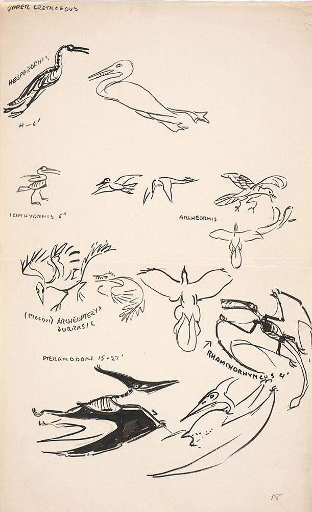 Preliminary art of flying creatures, for Life Story