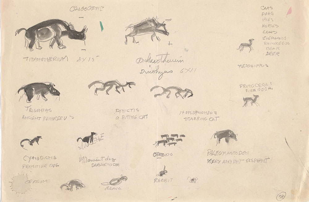 Preliminary art of mammals, for Life Story