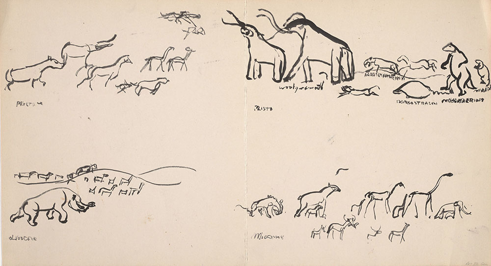 Preliminary art of animal groupings, for Life Story