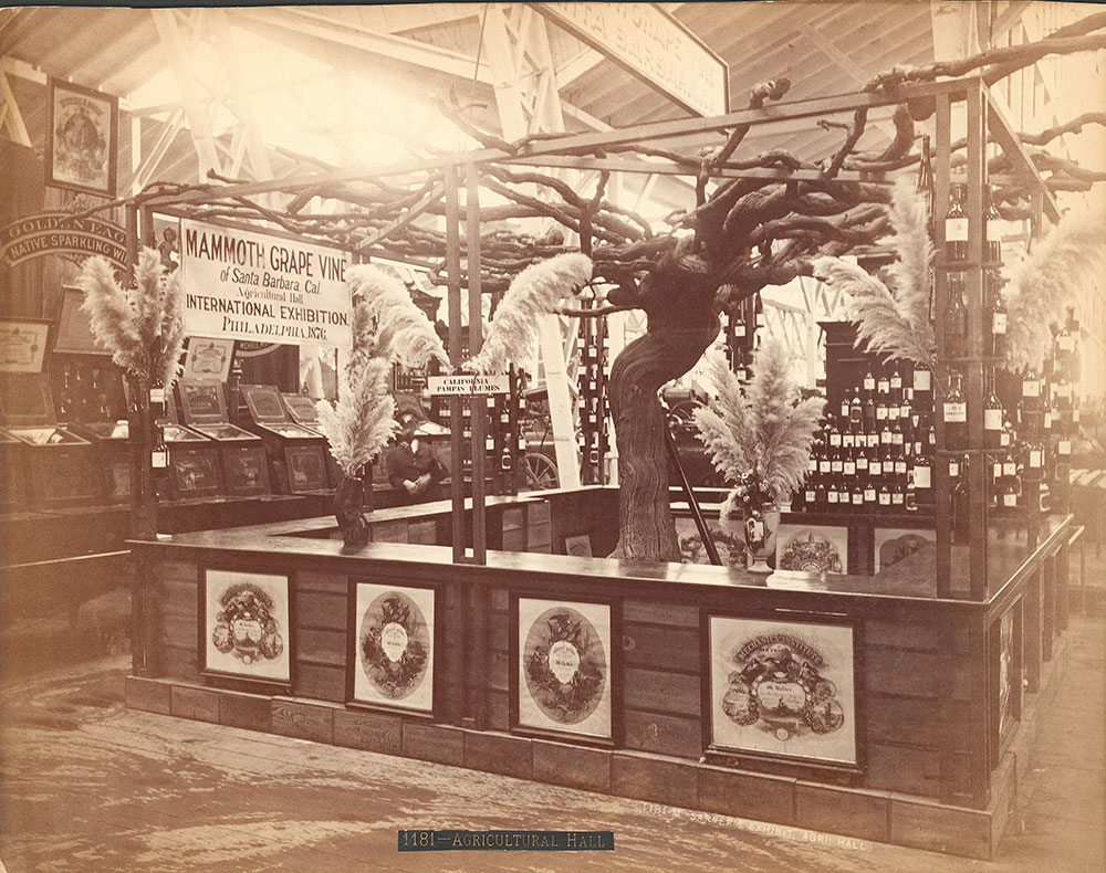 Wine exhibit-Agricultural Building