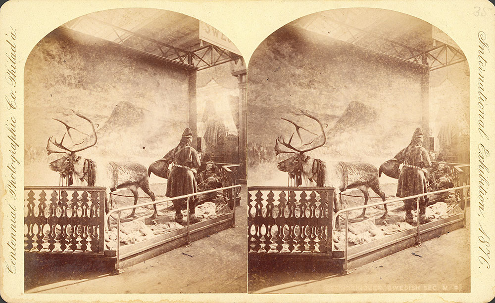 [Reindeer-Swedish sec., M.B.]