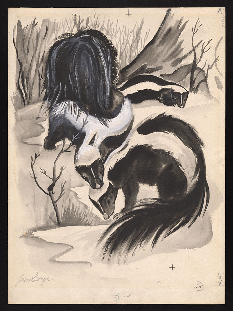 George - Meph, the Pet Skunk