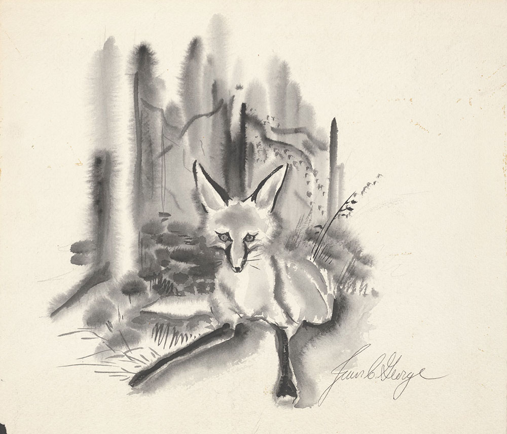 George - Vulpes the Red Fox
