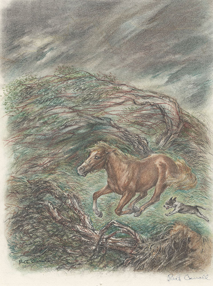 Carroll - Runaway Pony, Runaway Dog - Page 41