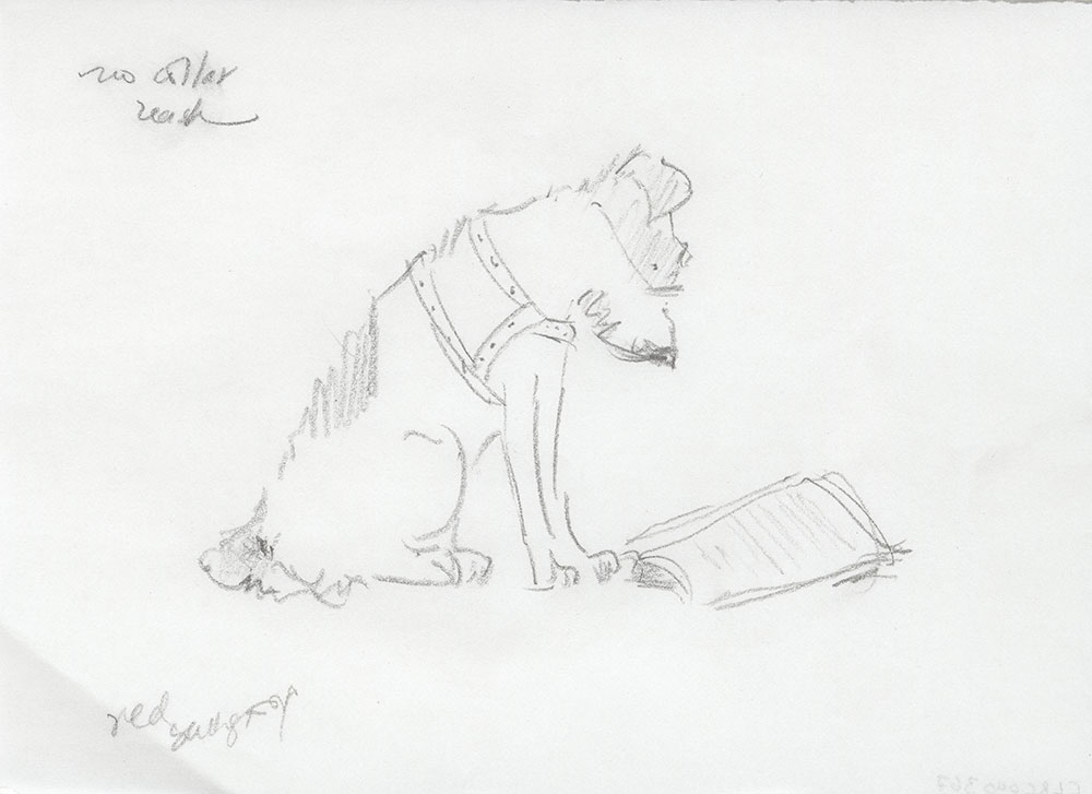 Sketch of Adult Knee-Hi