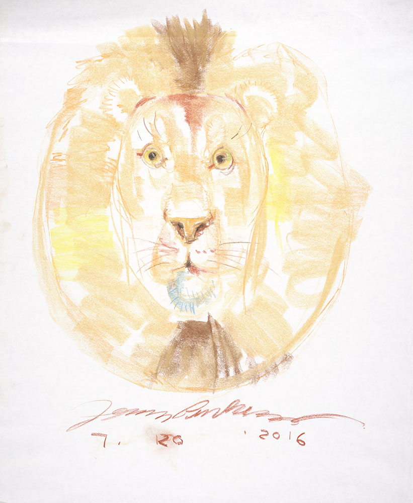 Pinkney Sketch - Lion