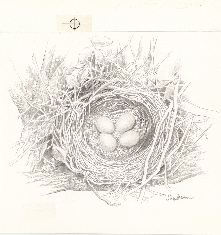 Sanderson - Five Nests - Page 20