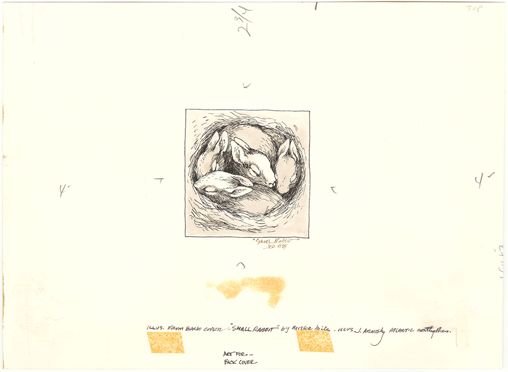Arnosky - Small Rabbit - Back Cover Illustration