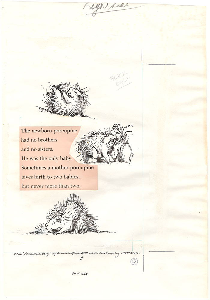 Arnosky - Porcupine Baby - Page 9