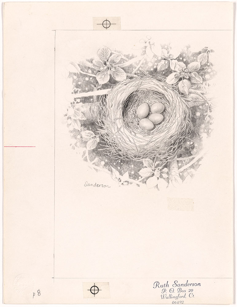 Sanderson - Five Nests - Page 8