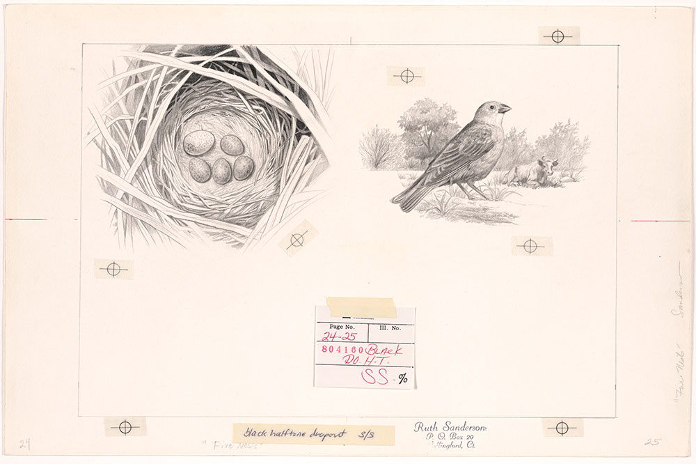 Sanderson - Five Nests - Pages 24 - 25