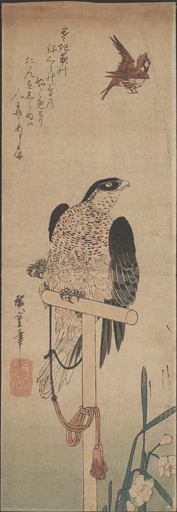 Falcon on Perch, Sparrow, and Narcissus