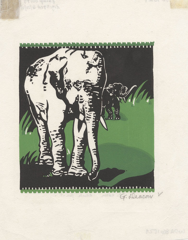 Untitled [Elephants]