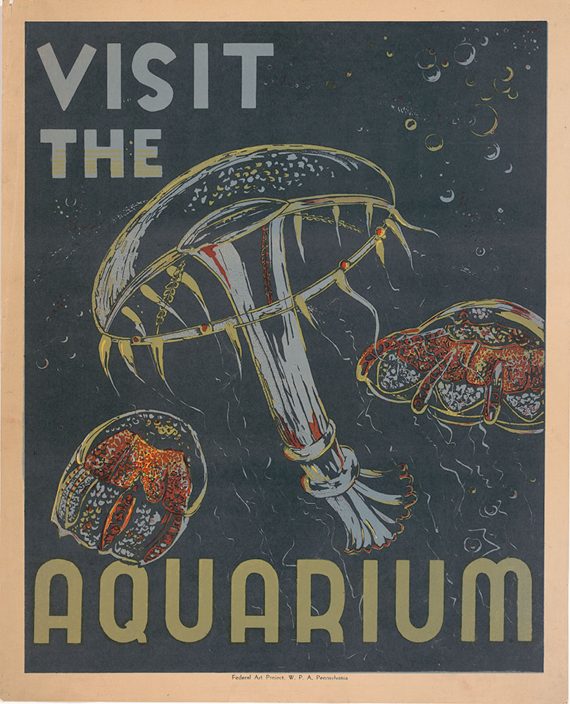Visit the Aquarium