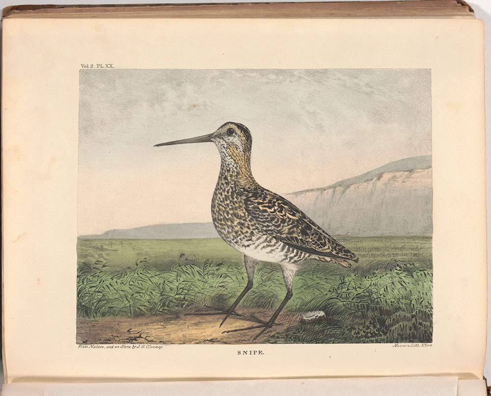 The Cabinet of natural history and American rural sports : with illustrations