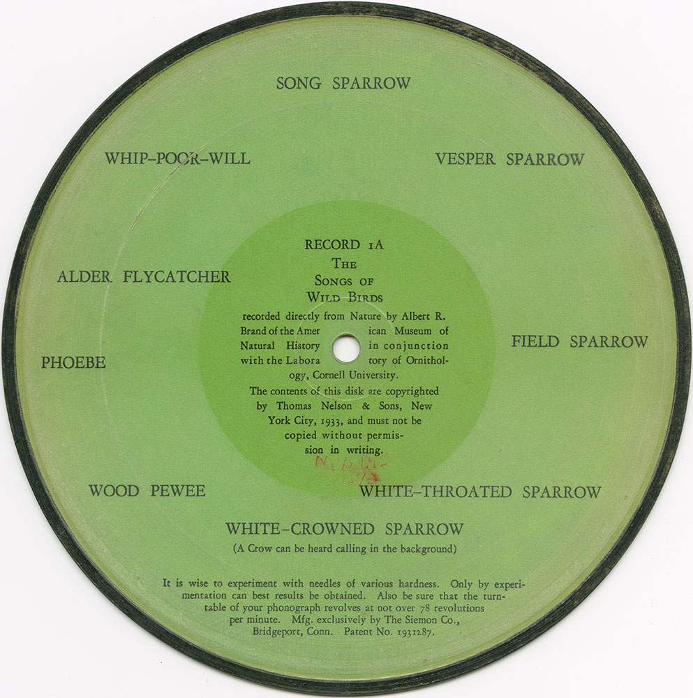 The Songs of the Wild Birds-Record 1A