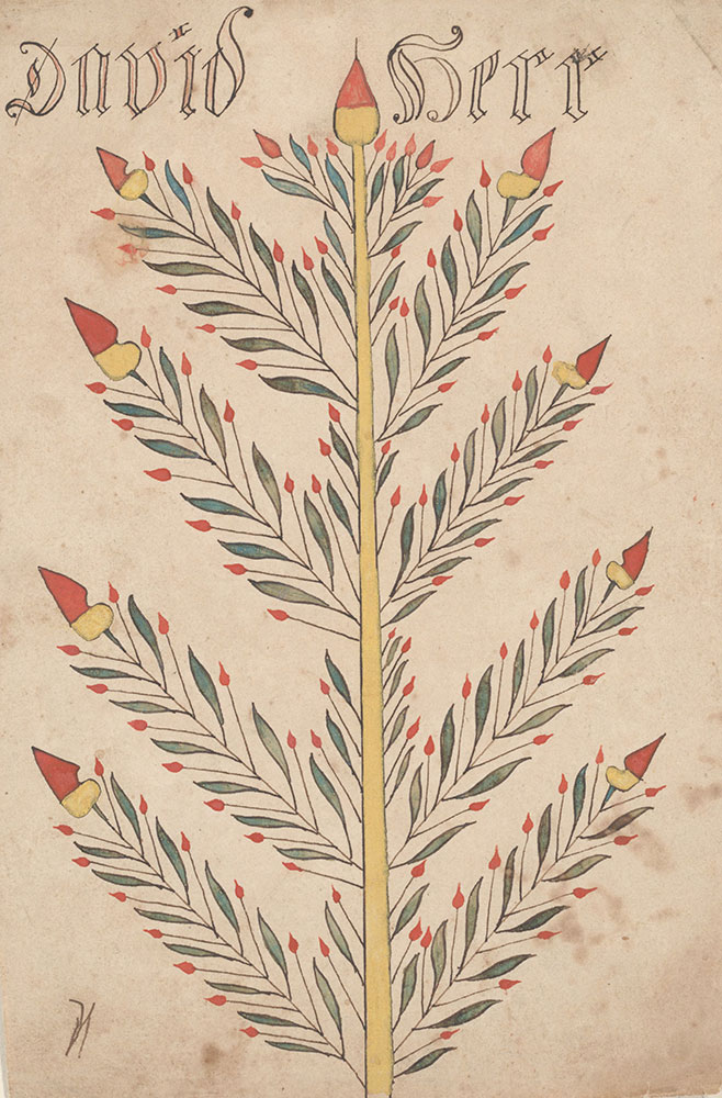 Drawing (Flowering Tree)