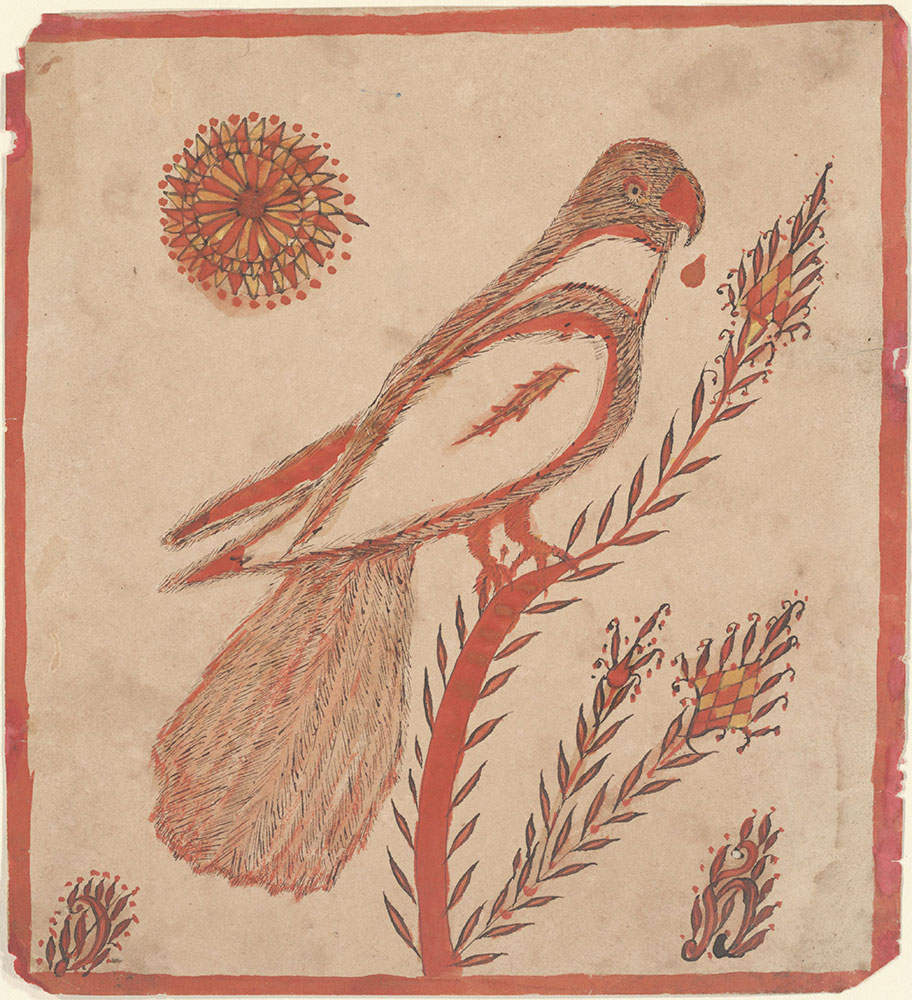Drawing (Parrot on Flower with Rosette)
