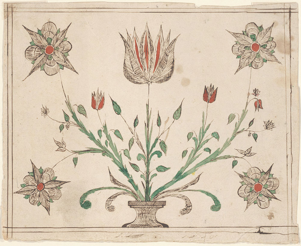 Drawing (Flowers in a Pot)