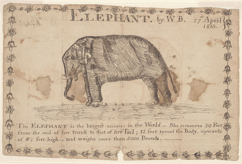 Drawing (Elephant)