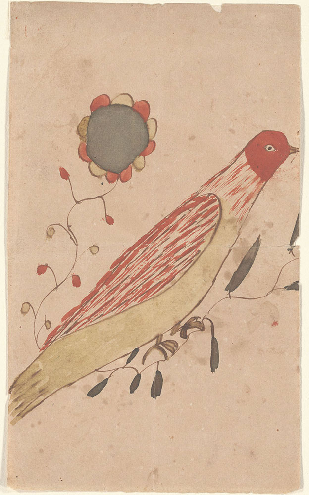 Drawing (Bird and Flower)